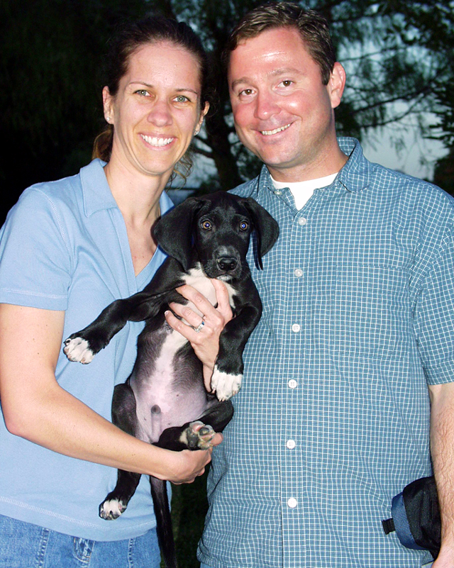 Zeus Great Dane puppy